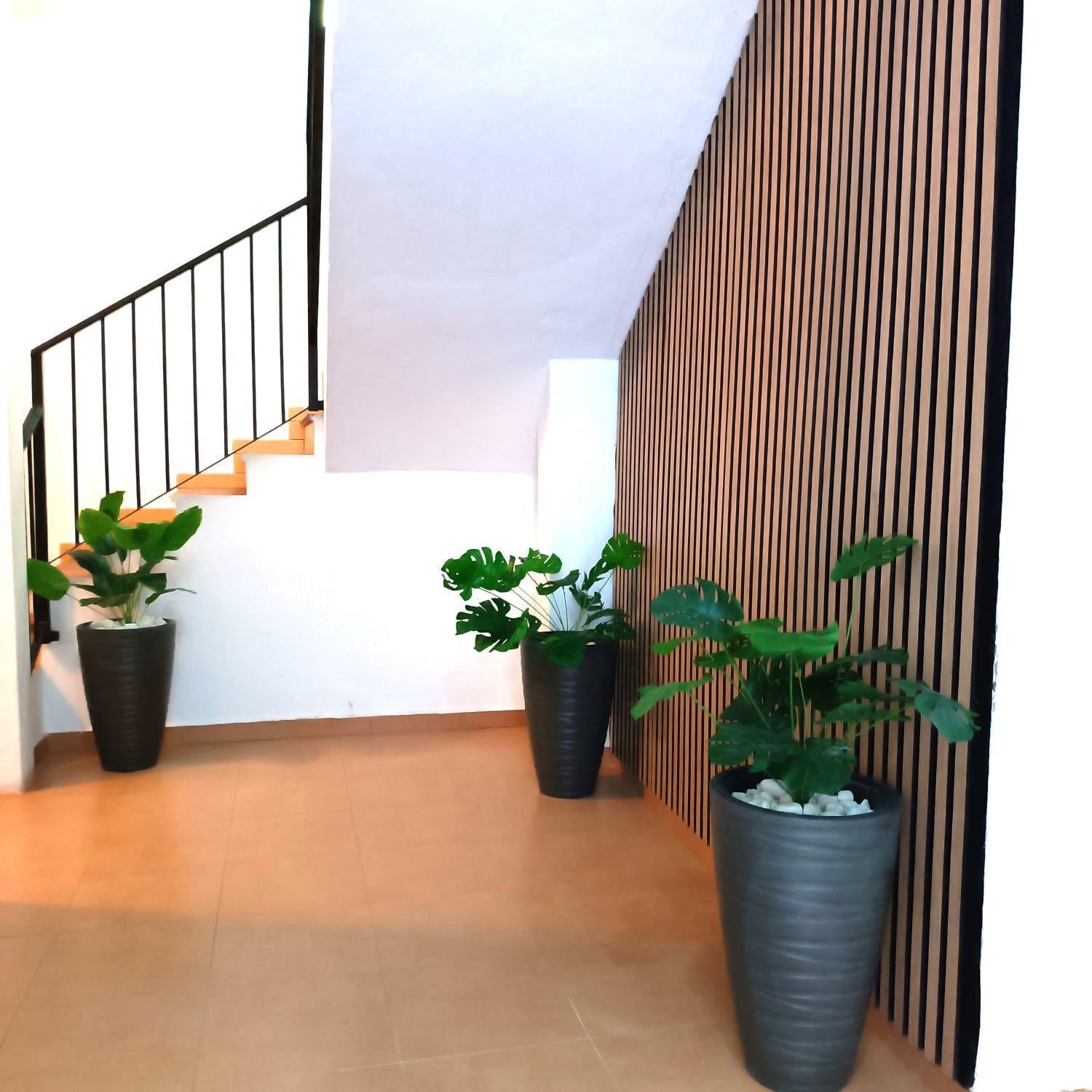 Apartamentos Duende Málaga Esterno foto